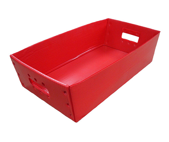 Corrugated Plastic Mail Tray