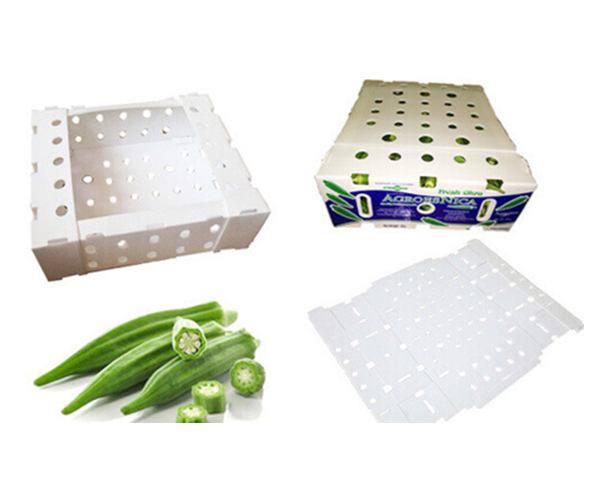 Fruits Vegetables Corrugated Plastic Boxes