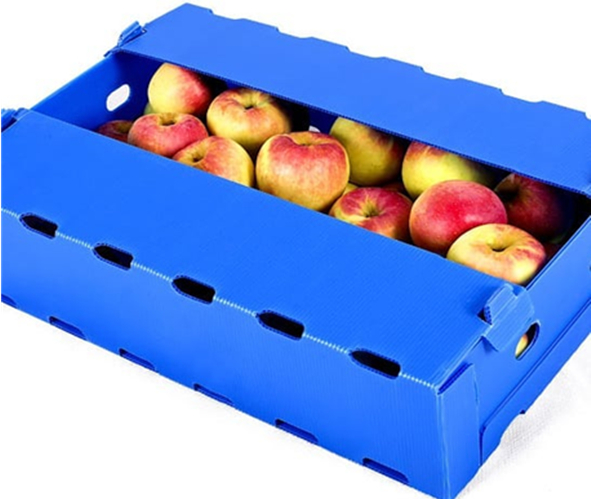 Fruits Vegetables Corrugated Plastic Boxes