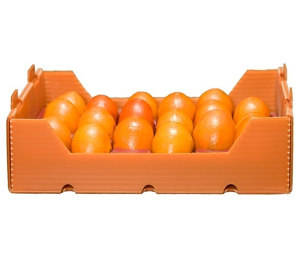 Fruits Vegetables Corrugated Plastic Boxes