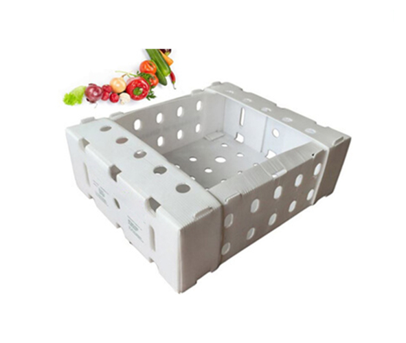 Fruits Vegetables Corrugated Plastic Boxes