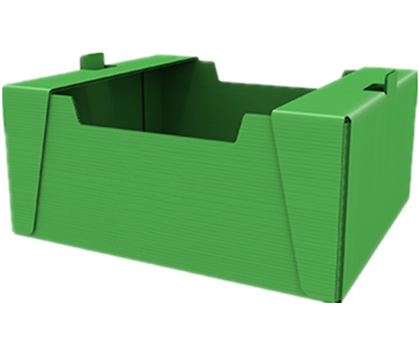 Fruits Vegetables Corrugated Plastic Boxes