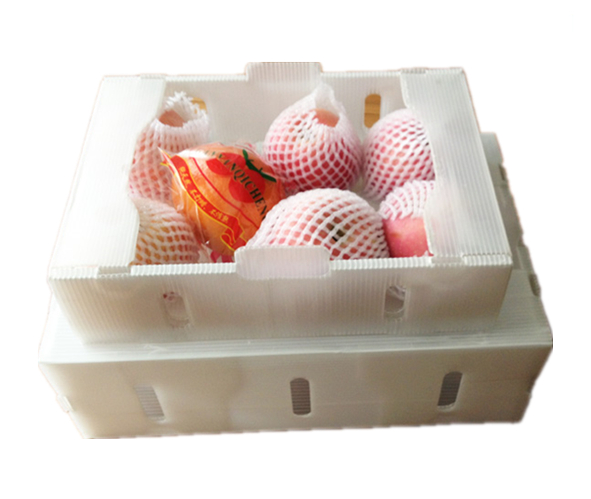 Corrugated Plastic Fruit Box