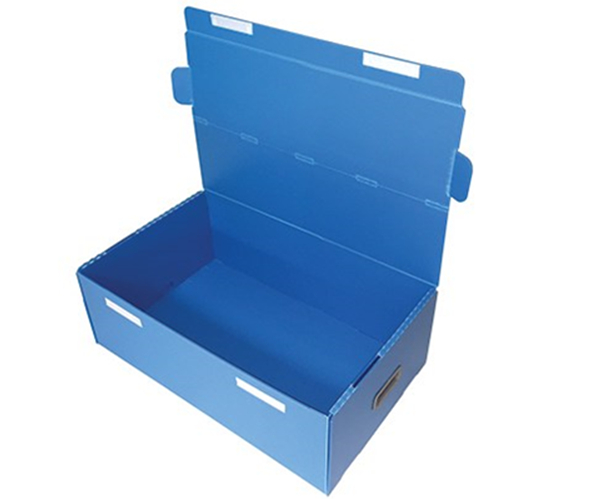 PP Corrugated Plastic Box