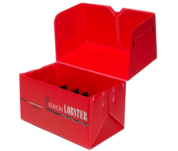 PP Corrugated Plastic Box