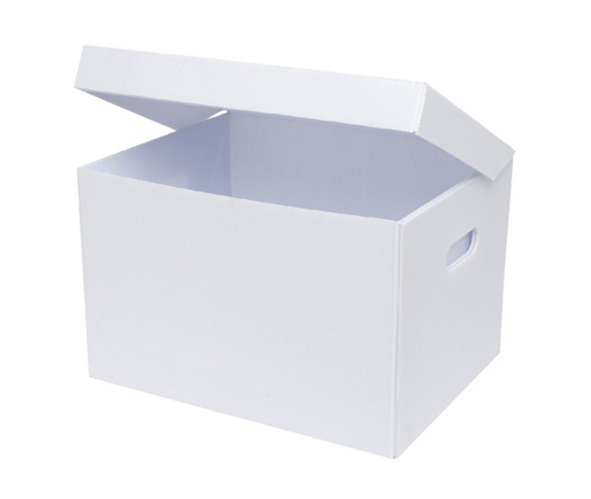 Coroplast Plastic Box