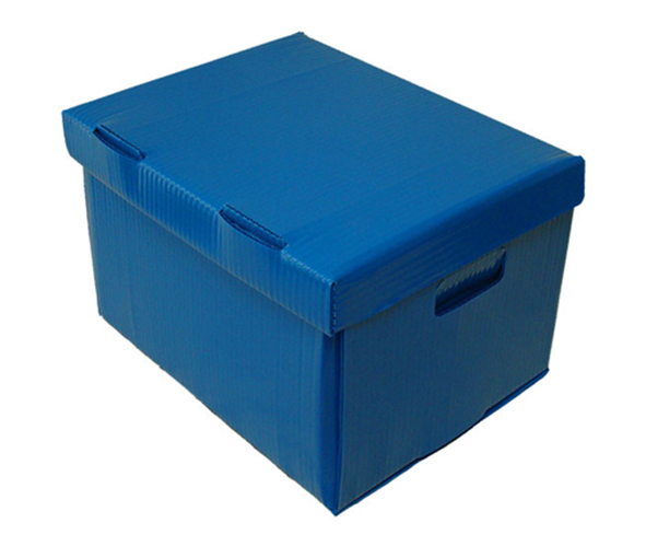 Coroplast Plastic Box