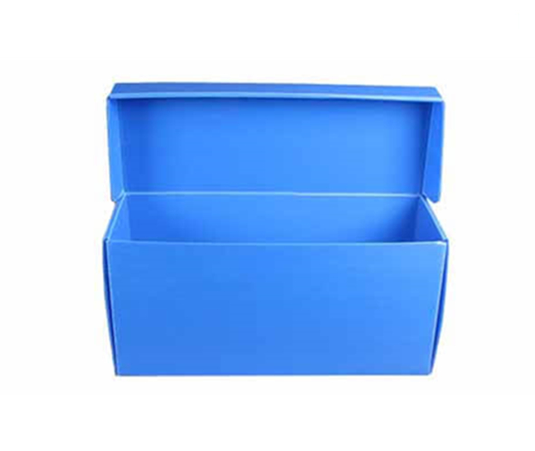 Coroplast Plastic Box